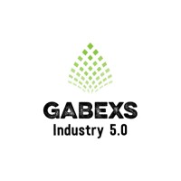GABEXS - Software Development logo - Similar company to Gabexs®