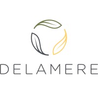 Delamere logo - Similar company to Kore Testing