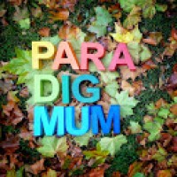Paradigmum