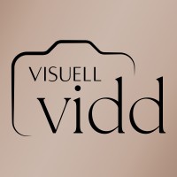 Visuell Vidd logo - Similar company to Solutions Cop21