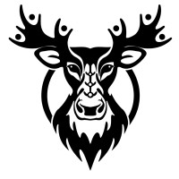 NGN - National Guardians Network logo - Similar company to These Wolves™