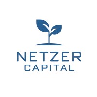 Netzer Capital logo - Similar company to Morevc
