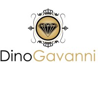 Dino Gavanni logo - Similar company to Nexus Networking