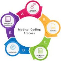 Medical coading logo - Similar company to Broadmind Labs