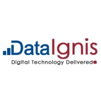 DataIgnis Technologies logo - Similar company to Openagi