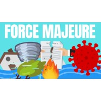 Force Majeure & Hardship in Int'l Contracts & Disputes logo - Similar company to Memorable®