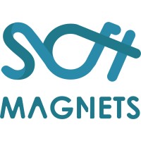 Soft Magnets