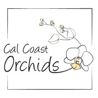 Cal Coast Orchids logo - Similar company to Westerlay Orchids