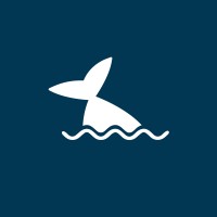 Newbornlander logo - Similar company to Mernini