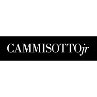 CAMMISOTTOjr logo - Similar company to Cammisotto