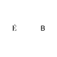 EDITION BLANK logo - Similar company to Nice Guy Freddie