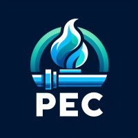 Project Engineering Consultancy logo - Similar company to Baditech Engineering &Consultancy Ltd