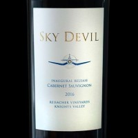 Sky Devil Wines logo - Similar company to Landon Winery
