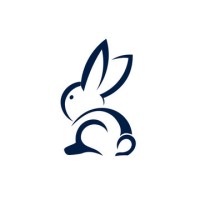 Rabbit Tech logo - Similar company to Rg2It Solutions Limited