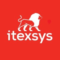 itexsys logo - Similar company to Intelbit