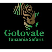 Gotovate International Tanzania Ltd