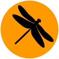 Amber Biology LLC