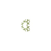 Corellia advisory logo - Similar company to Maximatelecom Jsc