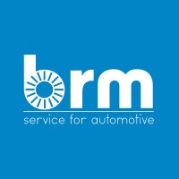 brm s.r.o. logo - Similar company to Icg-Capability S.R.O.