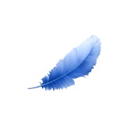 Creasing logo - Similar company to Veena Ai