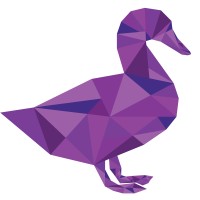 Duck On Water - Web Designers