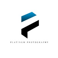 Platinum Group MW logo - Similar company to Paper Plane Engineers