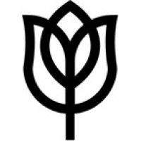 W.I.S.E logo - Similar company to Mseed Search