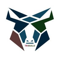 TRIBULLS logo - Similar company to Coding Master