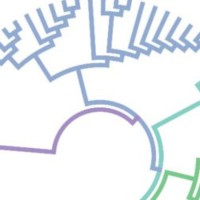Evomics workshops logo - Similar company to Campus Gotland
