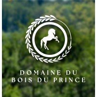 Domaine du Bois du Prince - Haras KRF logo - Similar company to Idcgo