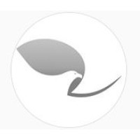 Silver Falcon Competitive Technologies, LLC logo - Similar company to Lucid Pixels
