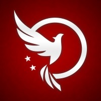 Making Career in Europe with Gökçehan - a Turkish Gen Z Community logo - Similar company to Sanalog