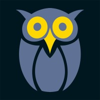 Night Owl Technology logo - Similar company to Vizvibe Llc