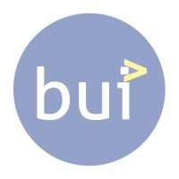 Bui Consulting logo - Similar company to Innovethic E.U.