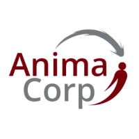 Animacorp Tecnologia