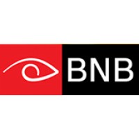 BNB Security and Automation Solutions Pvt Ltd logo - Similar company to Cinetekk