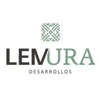 Lemura Desarrollo logo - Similar company to Iredu