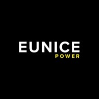 Eunice Power logo - Similar company to Seability Ltd