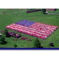 THE AMERICAN FLAG FOUNDATION INC logo - Similar company to Your American Flag Store