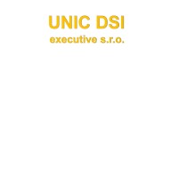 UNIC DSI executive s.r.o. logo - Similar company to Geen