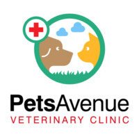 Pets Avenue Veterinary Clinic logo - Similar company to Beecroft Animal Specialist & Emergency Hospital
