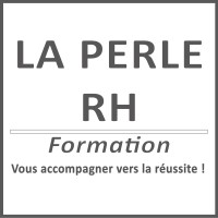 La Perle RH Formation logo - Similar company to La Perle Rh - Centre De Formation, Audit Social, Conseil, Recrutement Pour Tpe / Pme