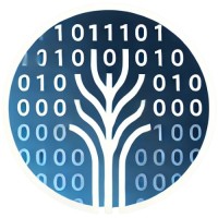 Binary Tree logo - Similar company to Binary Tree Now Part Of Quest