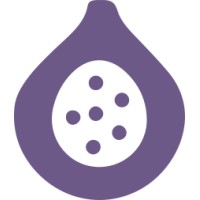 FEOFig (Open Source) logo - Similar company to Trapnstudio