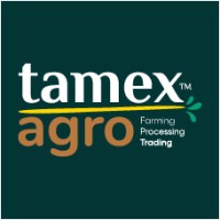Tamex Agro logo - Similar company to Hasan Kavi
