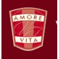 Vacanza In logo - Similar company to Viaggigiovani.It