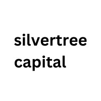 Silvertree Capital logo - Similar company to Sg Assets