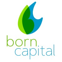 Born Capital S.A logo - Similar company to Cerometros2