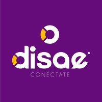 disae.pe logo - Similar company to Echoes Systems