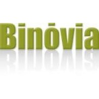Binovia, Corp logo - Similar company to Serra Hill Llc